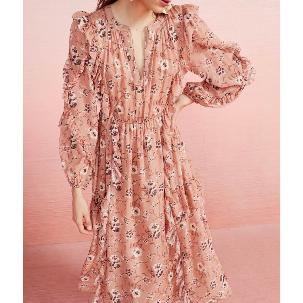 Ulla Johnson Ellette dress 2